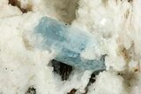 Lustrous Schorl and Goethite on Orthoclase Feldspar - Namibia #326649-1
